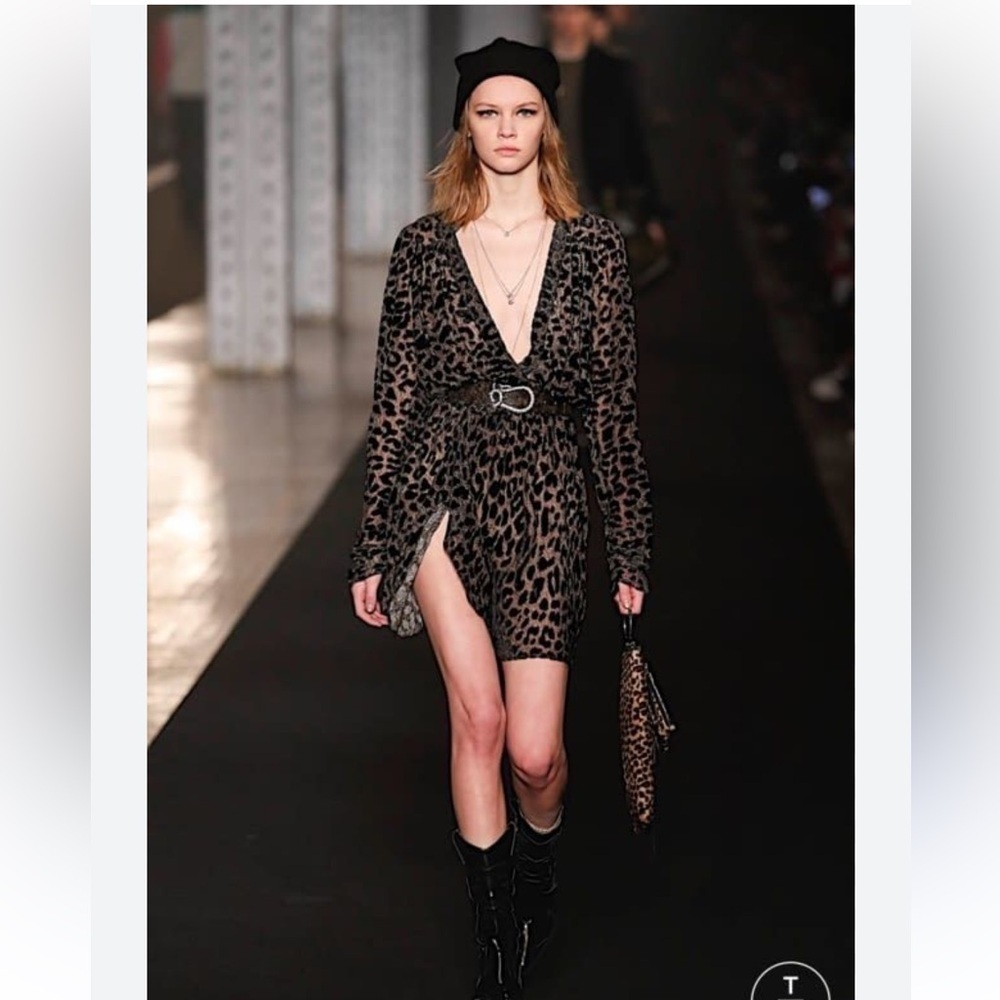 Zadig & Voltaire Leopard-Print V-Neck Mini Dress in Black and Brown